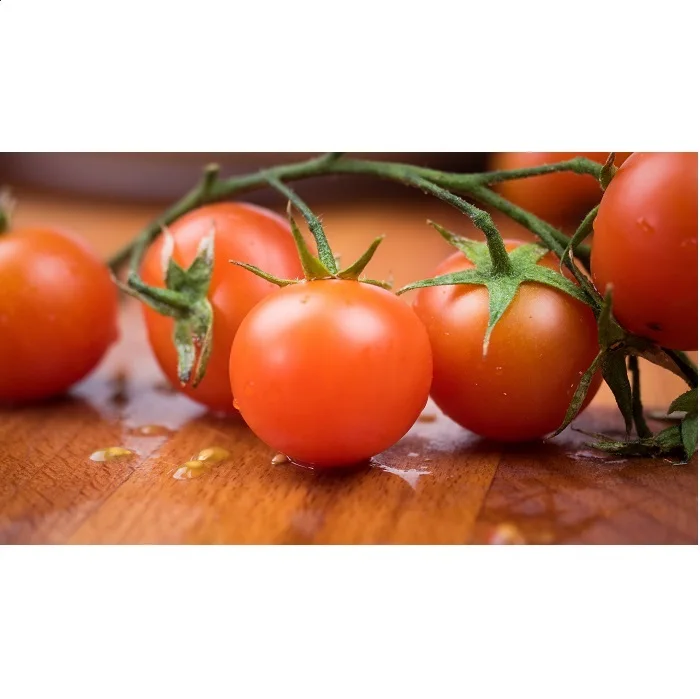 
Nutritive Fresh and Quality Tomato From Srilanka For Wholesale 