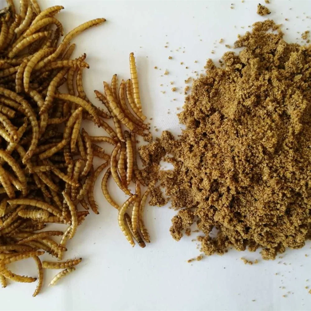  Quality Full Fat And Protein Mealworm Powder Insect Feed