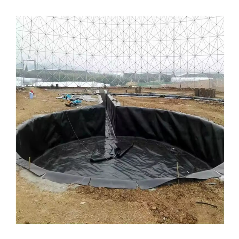 high quality factory wholesale price hdpe geomembrane liner pp plastic sheet geomembranes price fish ponds for fish farming