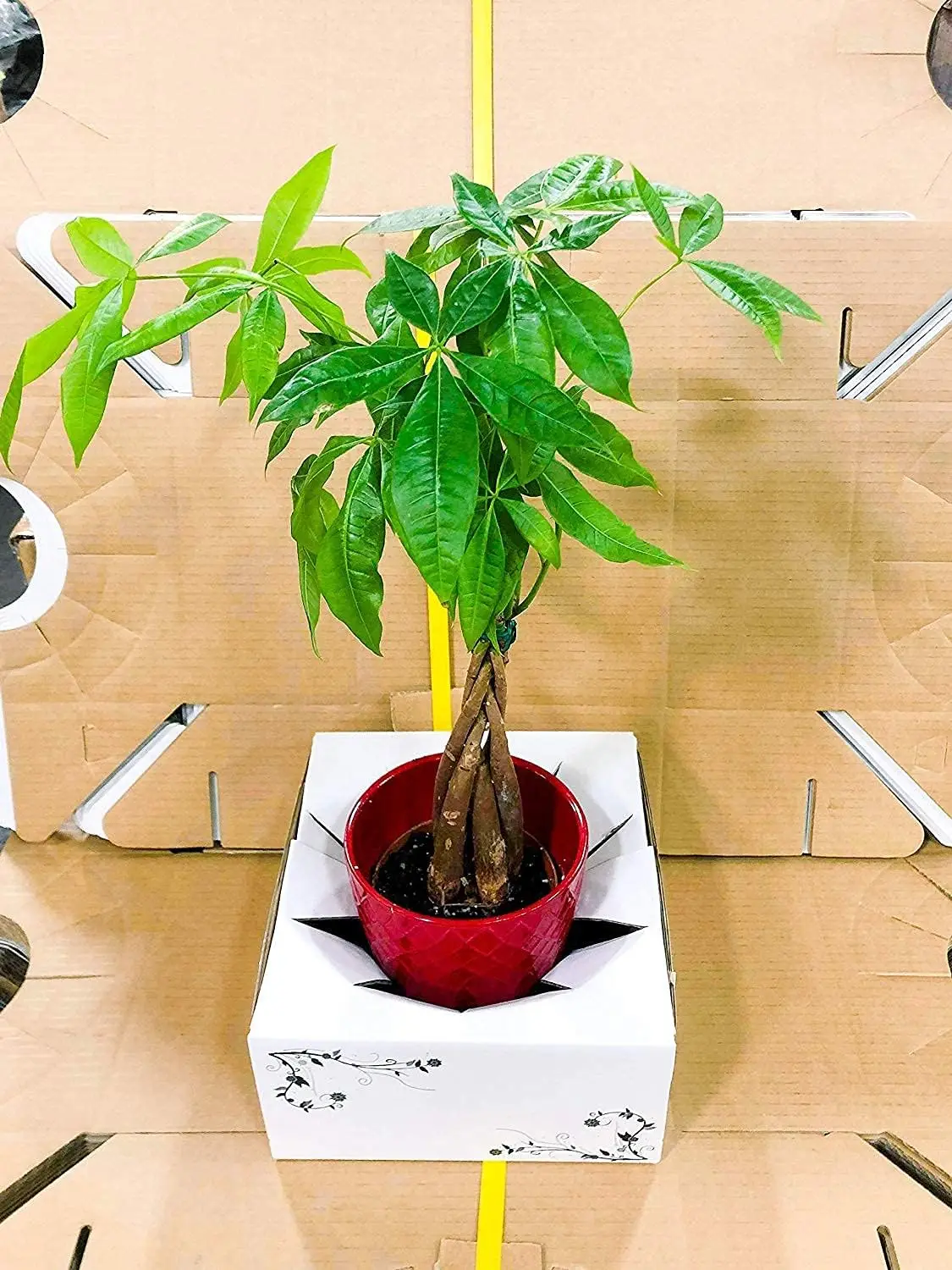 High quality eco-friendly Vase delivery corrugated paper box paper folding packaging flower box with logo