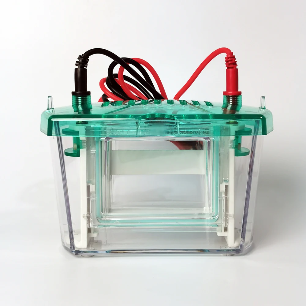 Servicebio Design Agarose Gel Electrophoresis Vertical Apparatus for Laboratory
