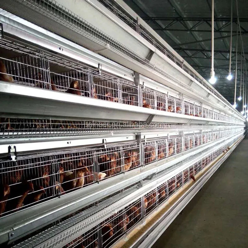 Good Price Automatic Egg Layer Chicken Farm Laying Hens Poultry Battery Cages for Sale