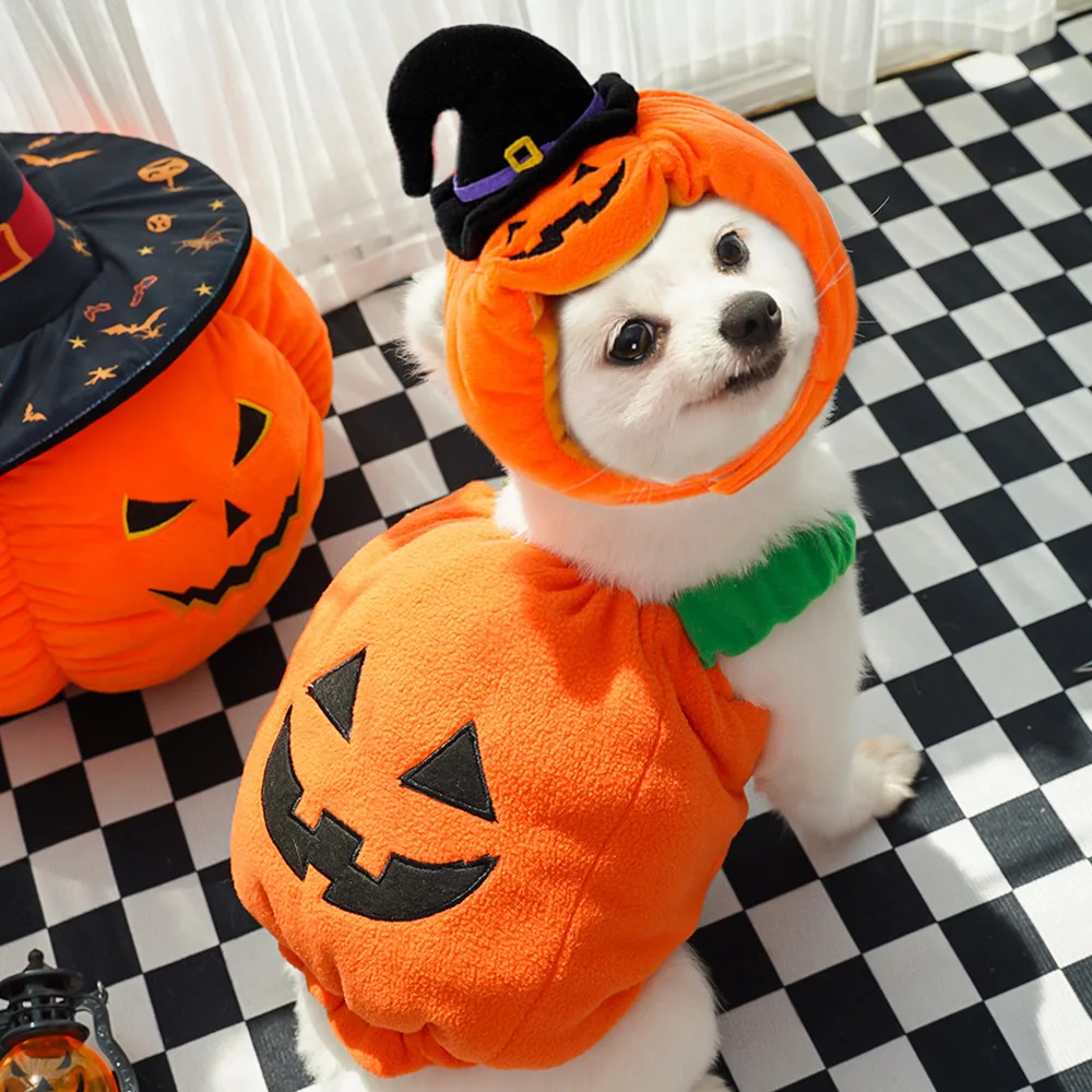 Halloween Holiday Pumpkin Lights Transformer Costume Spooky Cat Pet Dog Clothes