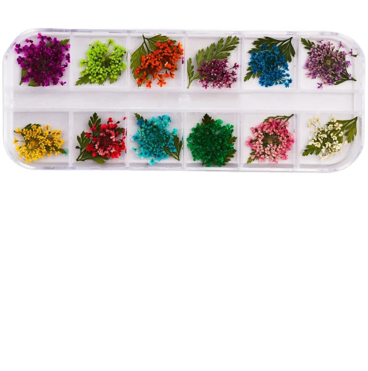 Wholesale Dried Flowers for Resin Mold Nail Art Small Tiny Real Natural Flower Decoration Supplies