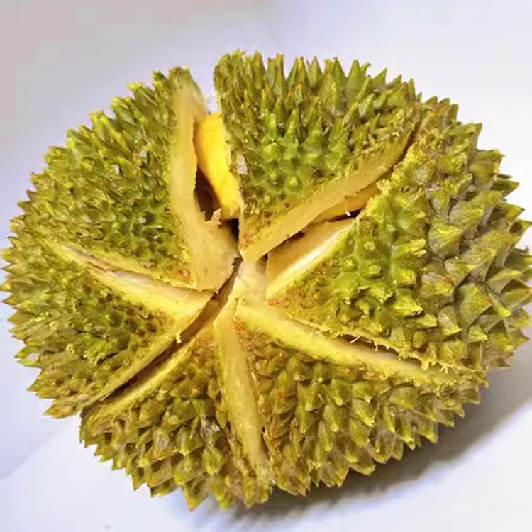 Fresh Premium Musang King D197 Durian Whole Fruit Mao Shan Wang from Malaysia