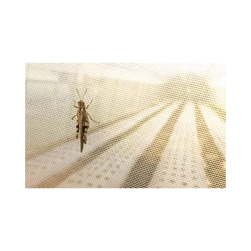 Hot Sale Single-Layer Insect-Proof Mesh Agricultural Greenhouses Super Strong PE Nylon Plastic Paper HDPE Available Small Large