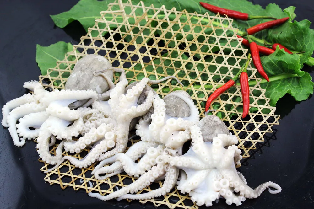 
seafood clean whole round frozen baby octopus 