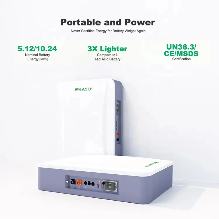 Gold Supplier 48V 10kwh Lifepo4 Power Wall Mounted 100A 200A Floor Solar Batteries Home Energy Storage Battery System Battery