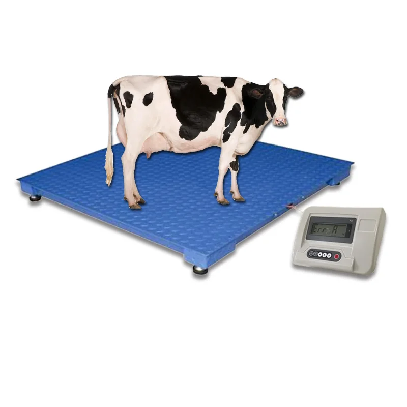 2000 lb 500kg 1000kg 2 Balance Livestock Scale Cattle Weighing Scale High Quality And Good Price Low Cost Animal Weight Scale