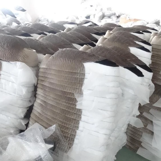 
Factory price plastic Canada goose Shell with flocked heads Hard as nails  (60816928850)