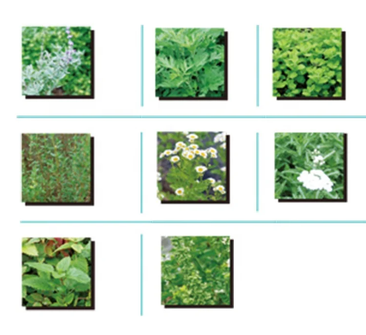 High Quality Luxury Health Herb Bag For Eco Friendly Personal Skin Care