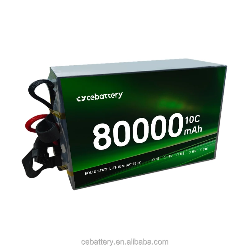 CE-80000mah 6S литиевые батареи с отличной низкотемпературной производительностью настраиваемый литий-ионный аккумулятор