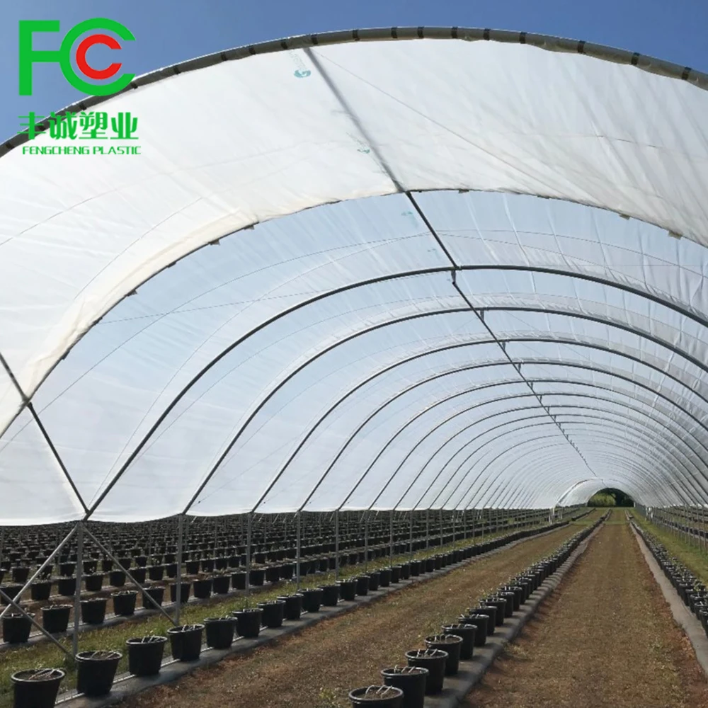 Low cost greenhouse China factory manufacture covered plastic film in wholesale