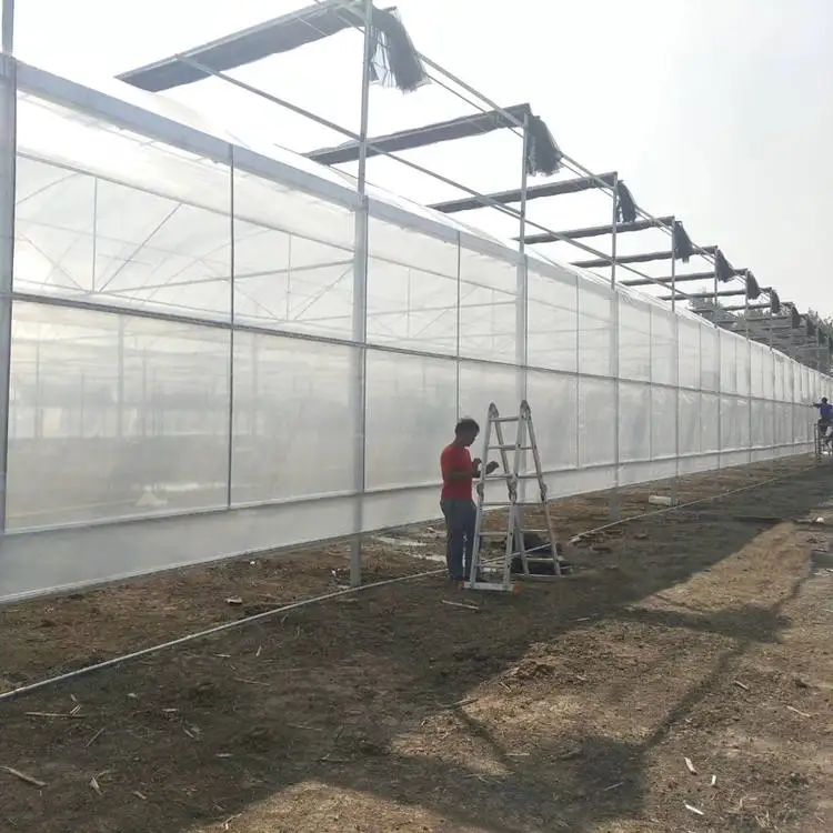 
PC Covered Venlo Type Green House With Intelligent Control Systems for Agriculture/Research/Feeding 