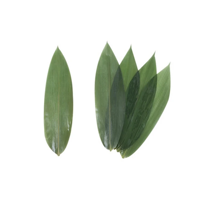 BAMBOO FENCE / BAMBOO TRELLIS FROM VIET NAM WITH BEST PRICE - HOT SALE FROM NAVALO - 2023 - INDOOR FURNITURE