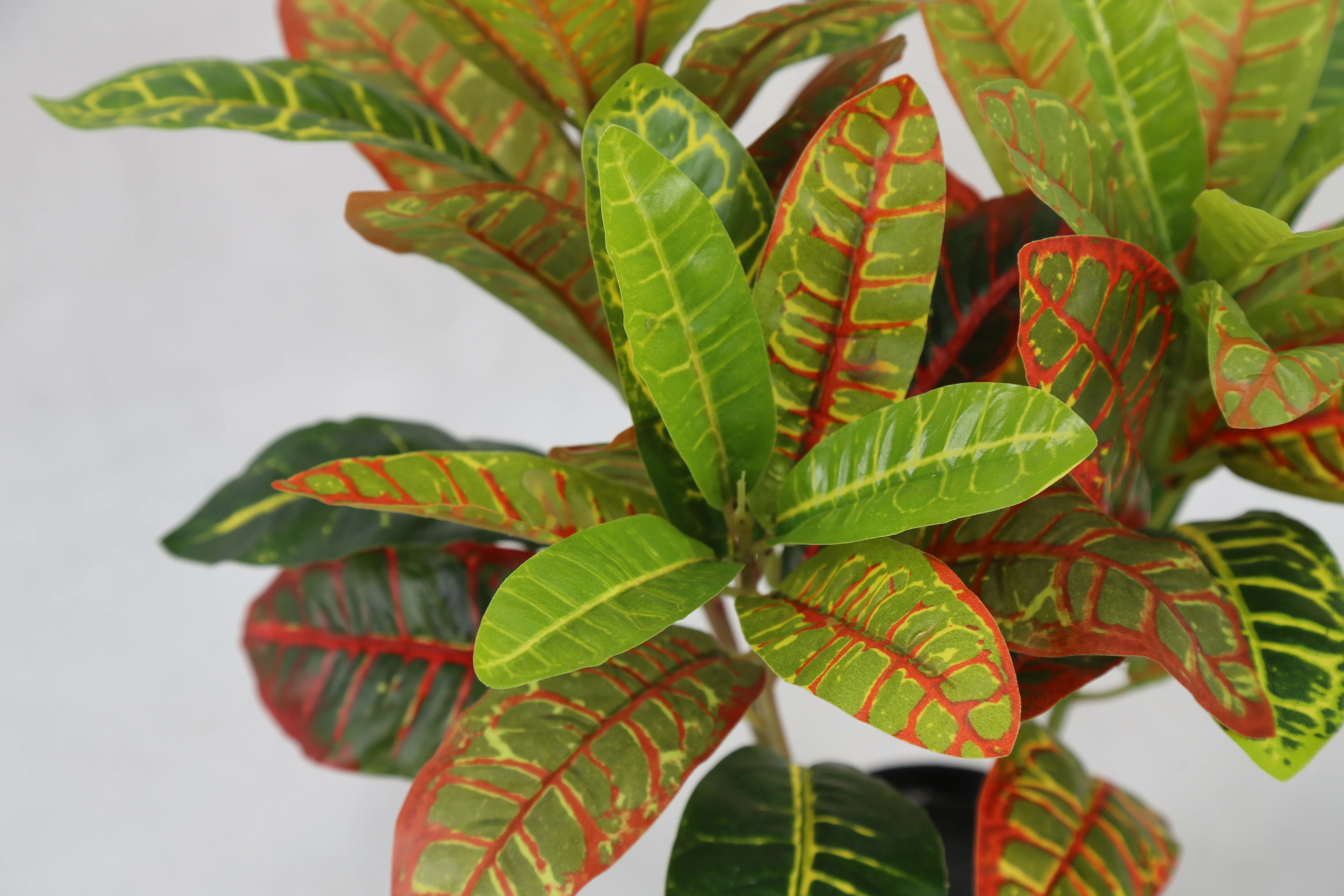 Factory Wholesale Faux Bonsai Tabletop Indoor Artificial Croton Codiaeum Variegatum Plant Tree For Home & Garden Decoration