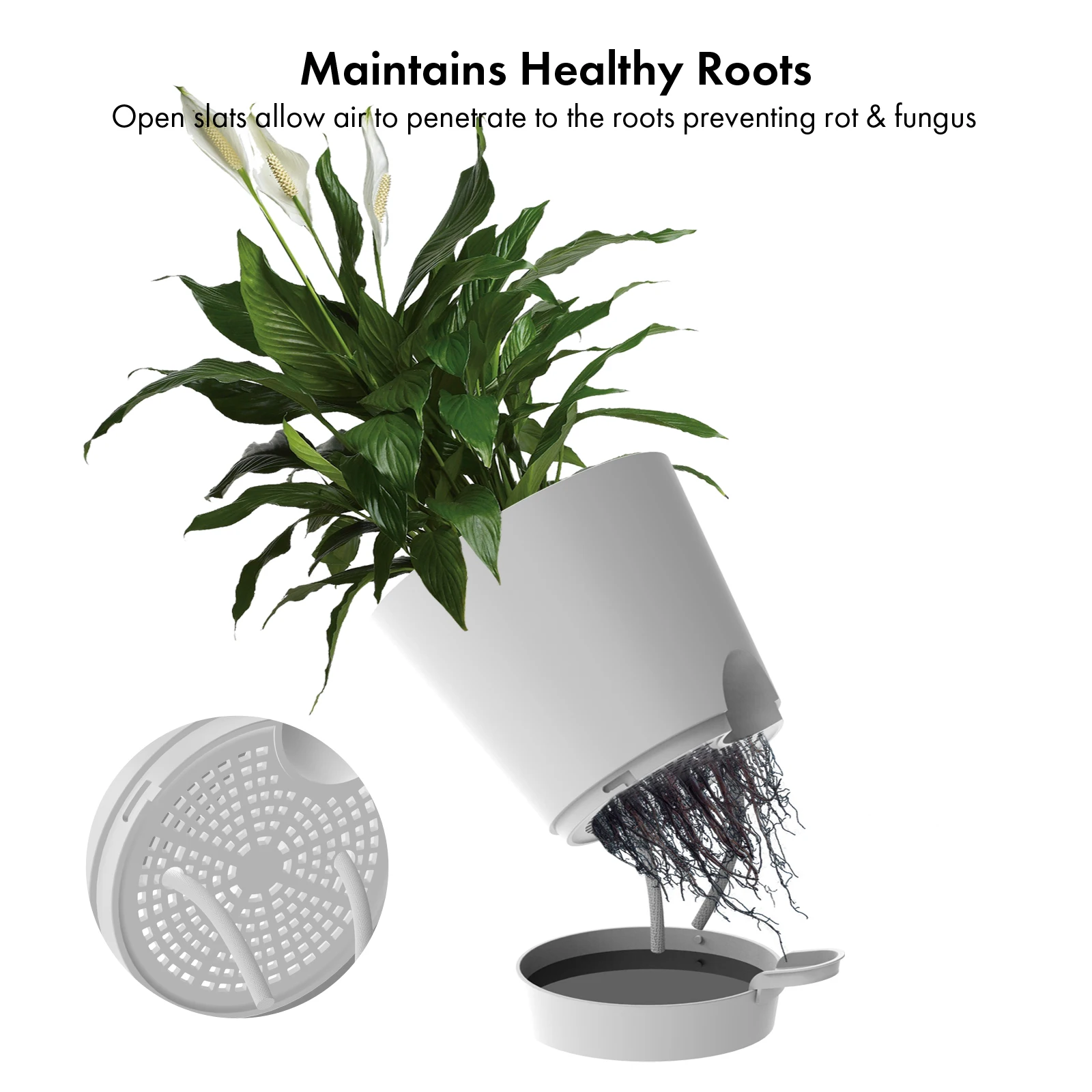 5 5.5 6 6.5 7 8 Inch Smart Self Watering Plastic Planter Pots for Plants with Holes and Tray