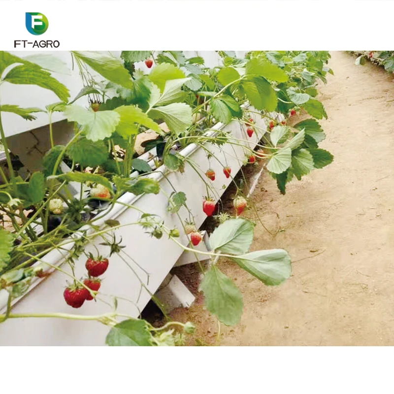 Гидропонная система водосточных желобов NFT с индивидуальным дизайном для