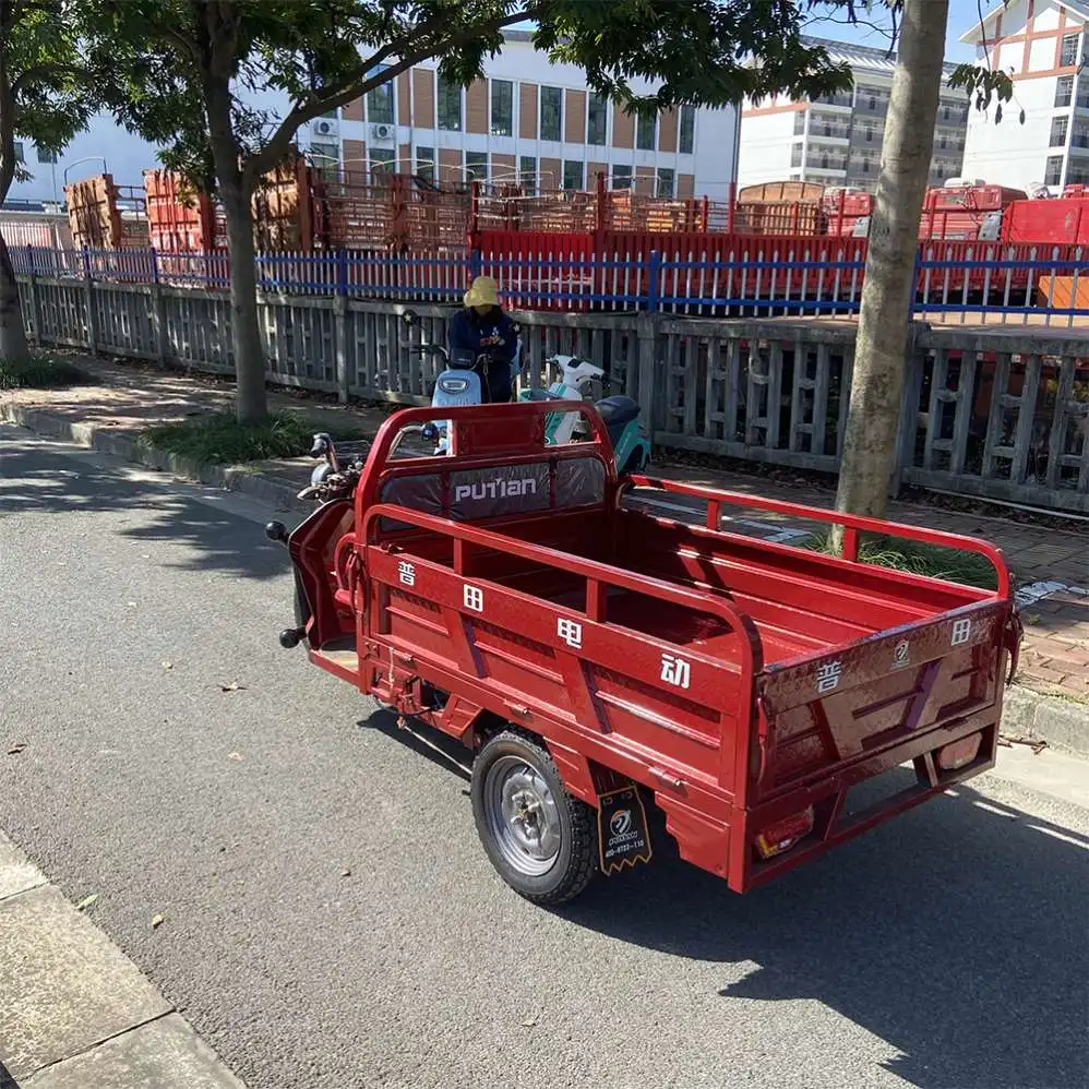 Professional 90Km Motor Rickshaw For Adult