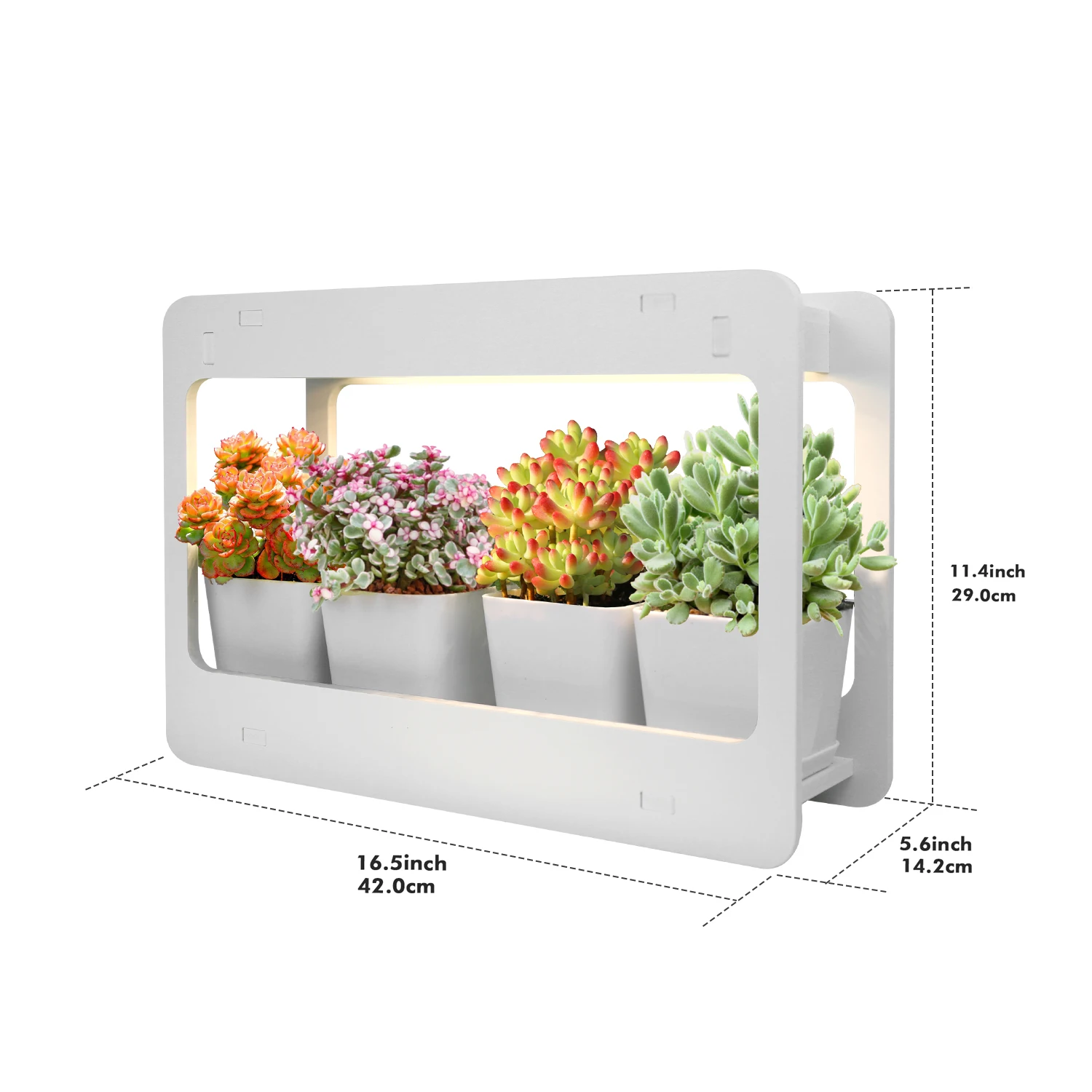 Indoor Herb Garden Kit White Grow Light Home Window Planter Kit for Herbs Succulents and Vegetables Plant Light