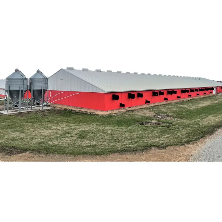 Waterproof Prefabricated Steel Structure Cow Shed for Livestock Farming Cattle Barn