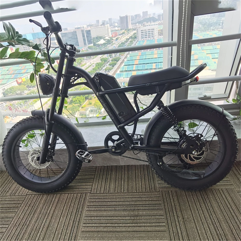 Powerful Electric Snow Bicycle Electric Mountain Bike for Adults Eu Warehouse 48v 750w Private Label Lithium Battery 9 Speed Z8