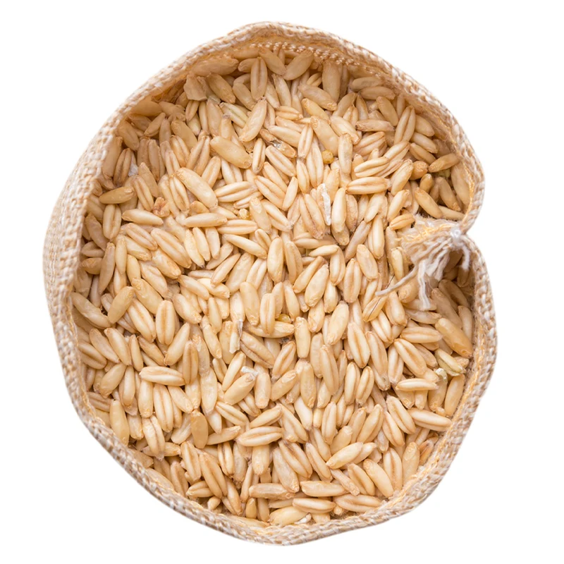 
Sell High-Quality Good Price Fresh And Vigorous 450g Naked Oats 