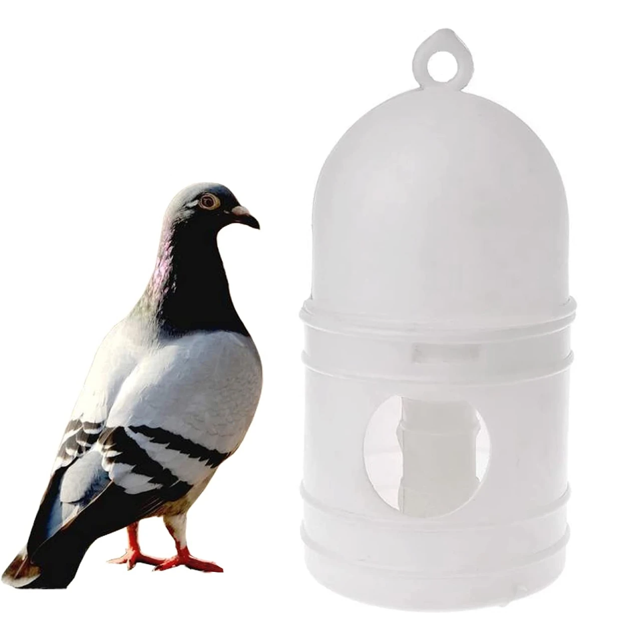 Bird Pigeon Quail Water Bottle Dispenser Feeders Automatic for Birds Pigeon Drinking Chicken