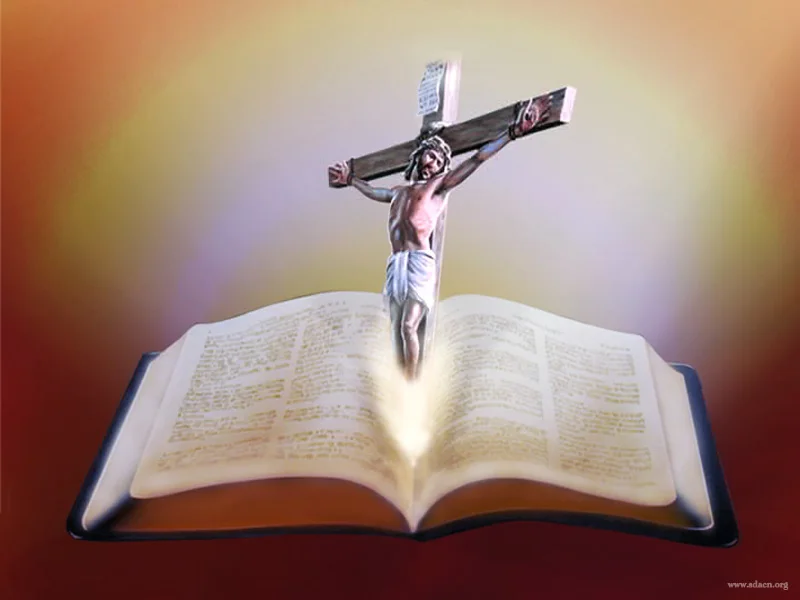 Wholesale Factory White Woodfree Offset Printing Paper Rolls For  Bible and Dictionary