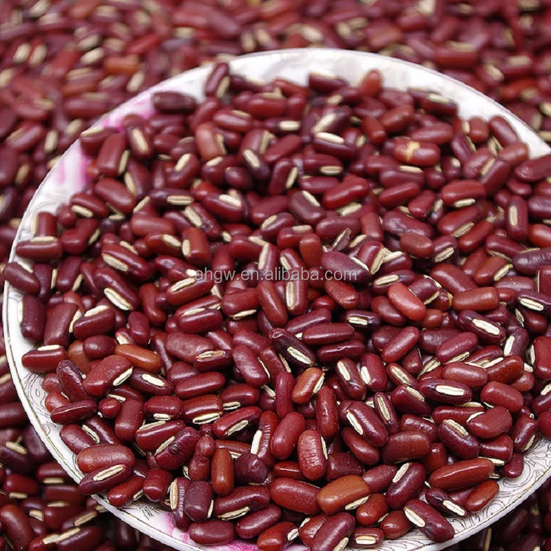The new crop is high-quality red Adzuki beans, fresh red bamboo beans, high quality and good price