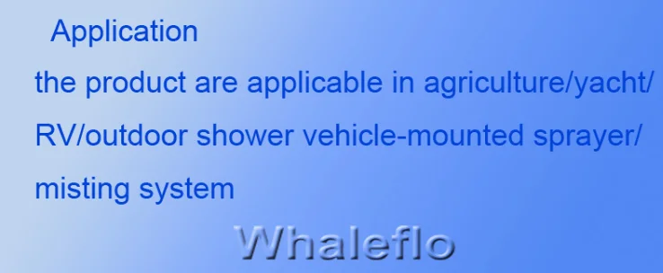 5555.png