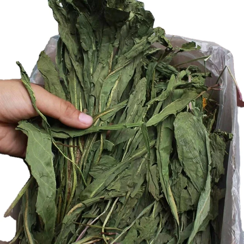 Dried dandelion grass, rabbit, Chinchillas, Dutch pig and guinea pig supplies 500G individual box for grain and grass