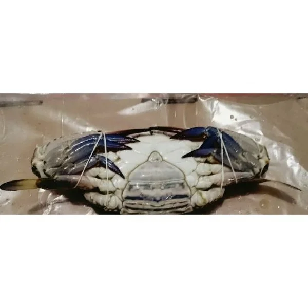 Frozen bulk seafood/frozen blue swimming crab