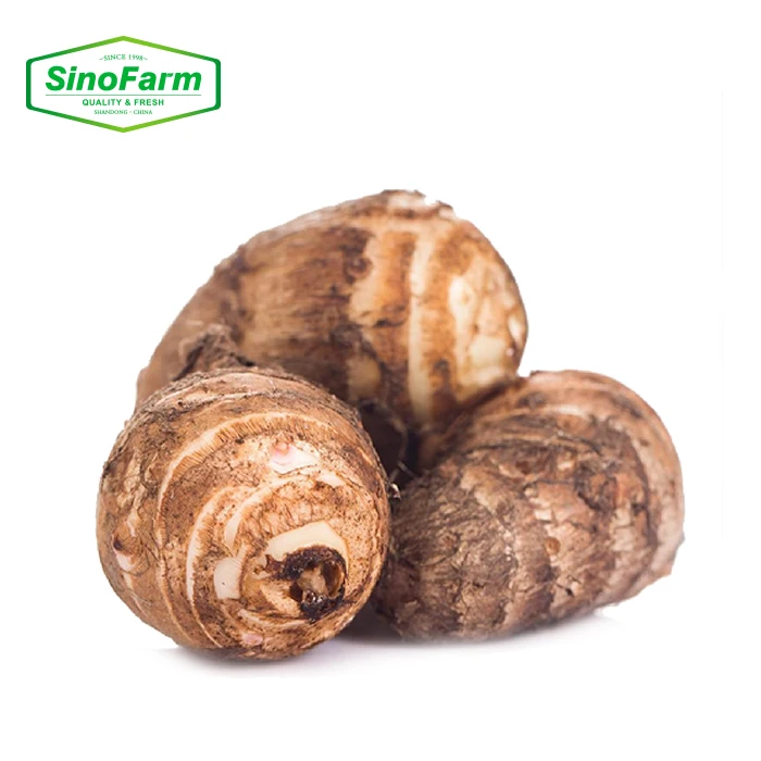 China Fresh Taro Vegetable Food Importer Chinese Supplier Wholesale Export Taro New Crop