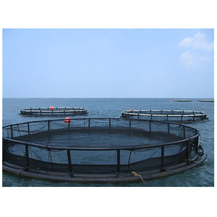2022 New Design High Quality Tilapia cage aquaculture fish farming cages