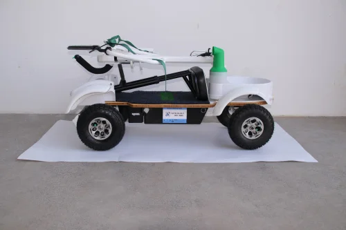 cheap electric golf lithium battery board