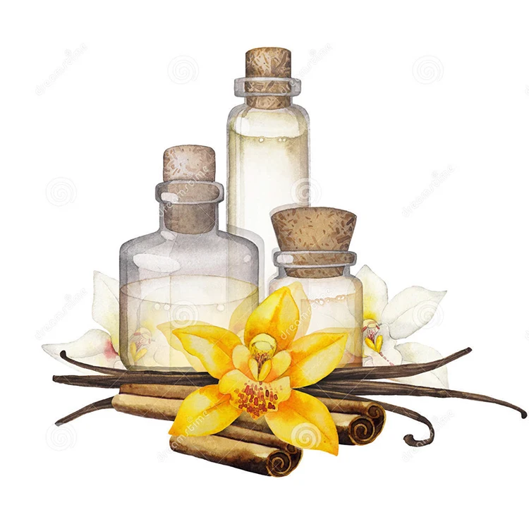 Manufacturer supply wholesale bulk price organic vanilla beans extract OEM 100% pure natural vanilla essential oil