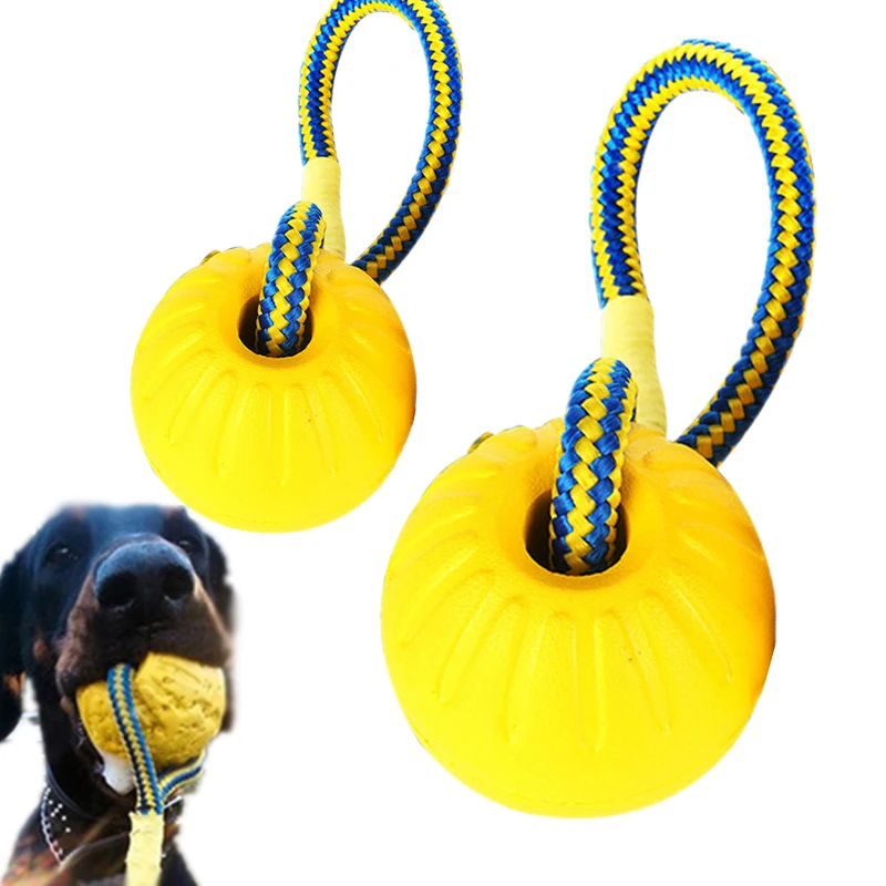 Wholesale 2024 New Eco Friendly Pet Interactive Throw EVA Floating Bouncy Hollow Solid Dog Training Ball Toys For Pets
