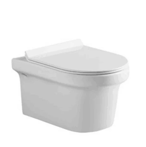 Hot selling sanitary ware bathroom wall-hung toilet/ wall hanging toilet 103N