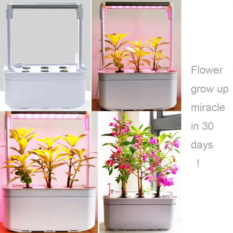
Mocle Minigarden Accessories Lucerne - Hydroponic box 4 pot hydro planters 