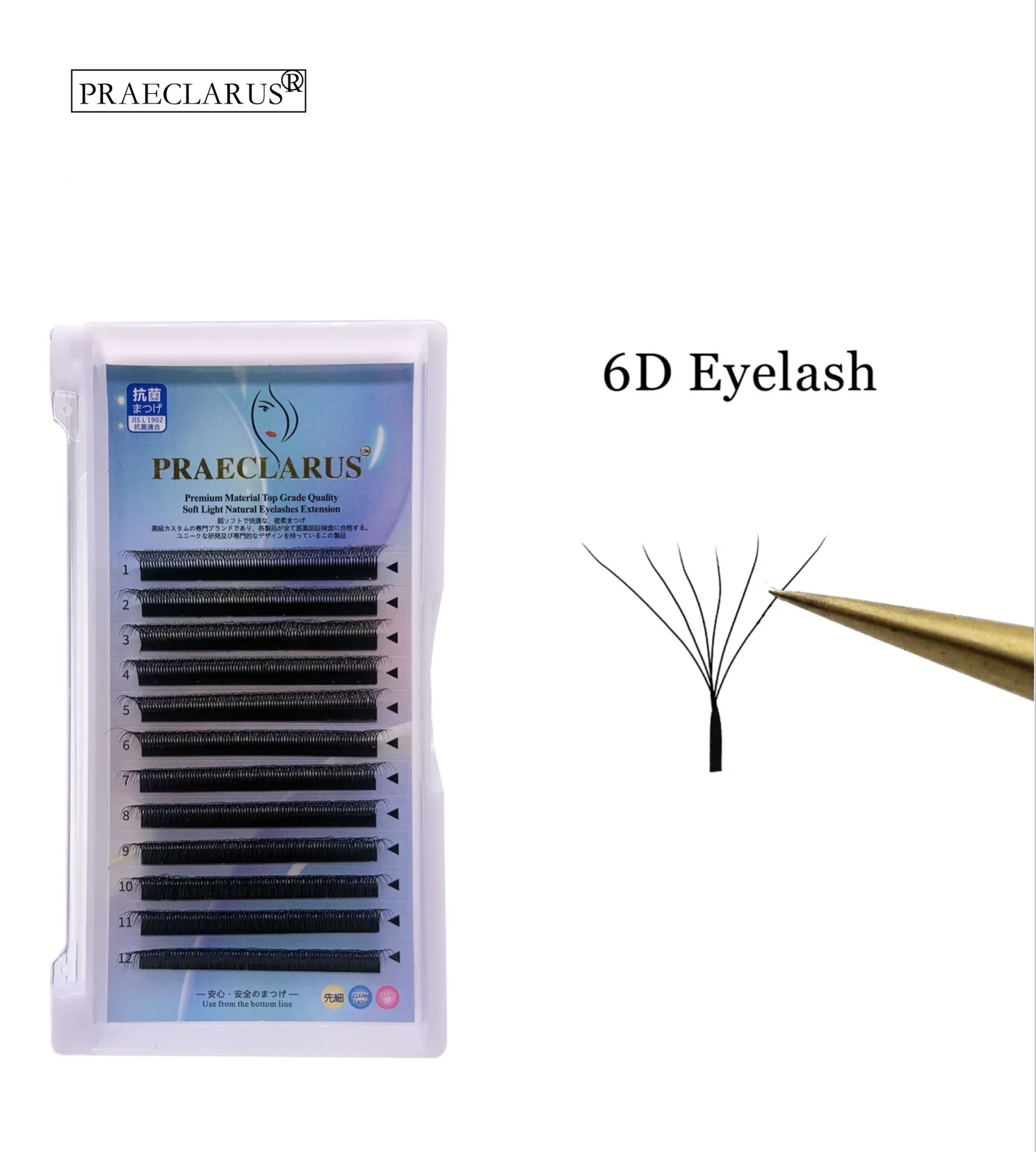 6D W Lash 6D W Eyelash Extensions