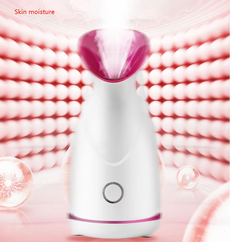 face steamer 5