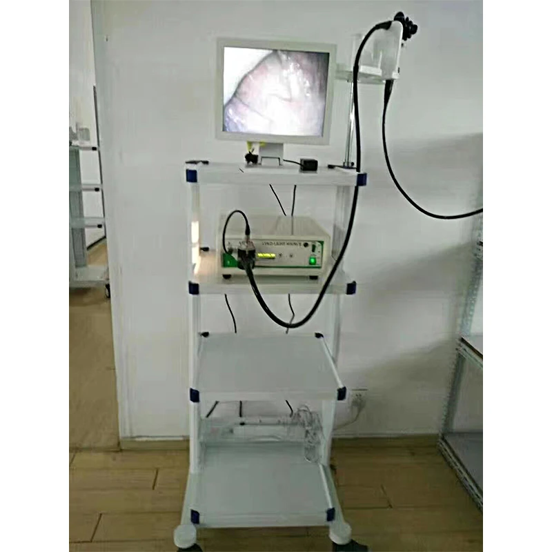 HC-R029 Medical Endoscopic System Hot Sale Veterinary Endoscope System For Gastroscope