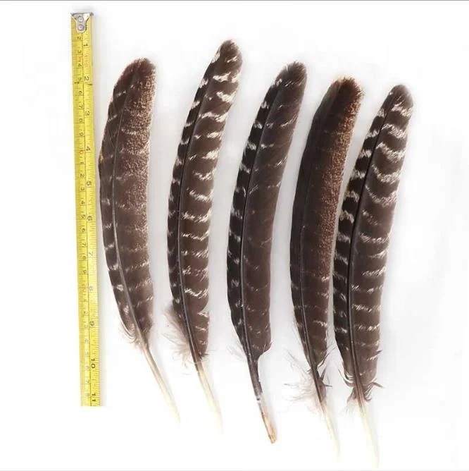 Оптовая продажа высококачественное перо для женщин «сделай сам» в виде крыла индейки 20-30 см Натуральное