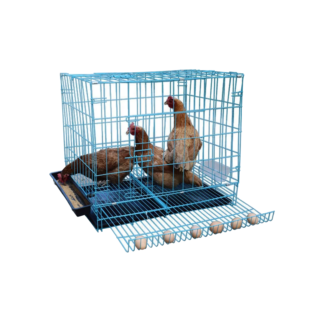Оптовая продажа от производителя металлическая куриная клетка складные куриные