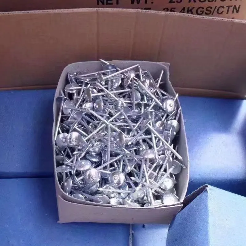 high quality umbrella head galvanized smooth twisted shank roofing corrugated nails 700g box
