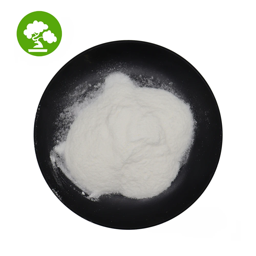 Supply Food Grade High Quality Thickener Food Additives Tragacanth Gum powder