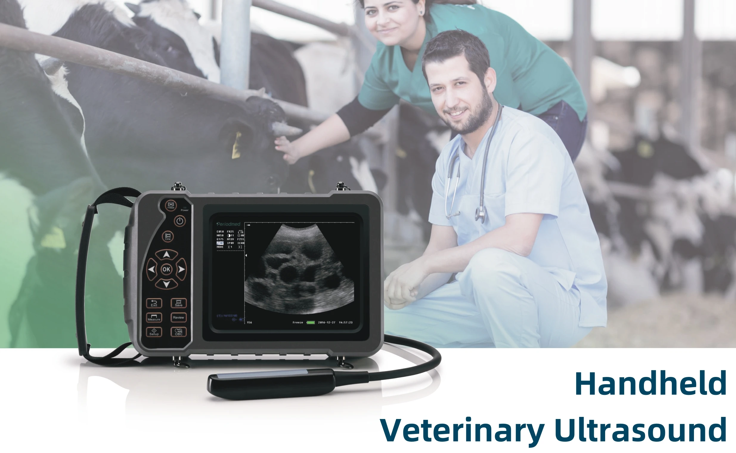 THR-V51A Low Price Handheld Veterinary Ultrasound Machine Animal Ultrasonic Diagnosis System