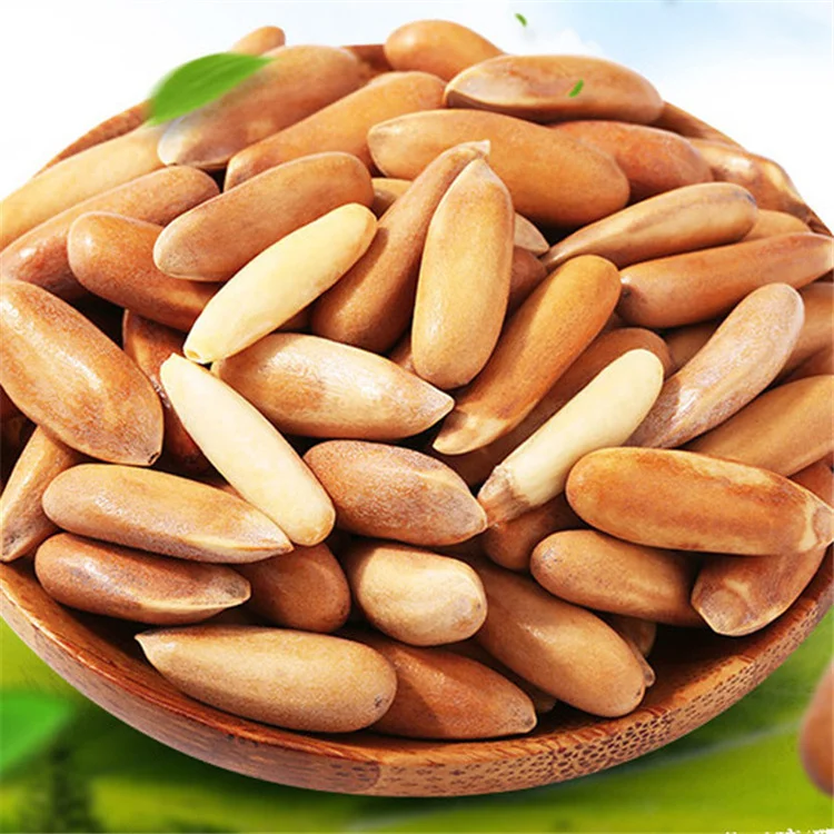 Best price of pine nuts hot sale high quality customized Pine nut