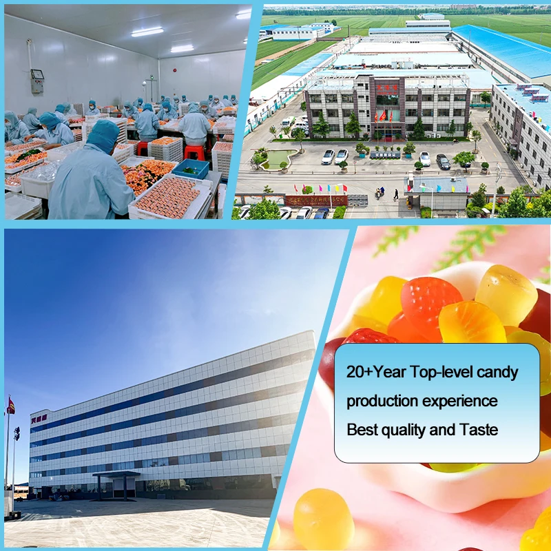 soft Sweets Wholesaler  ice cream shape color soft jelly fruit halal gummy candy